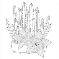 Succulents Artist's Coloring Book