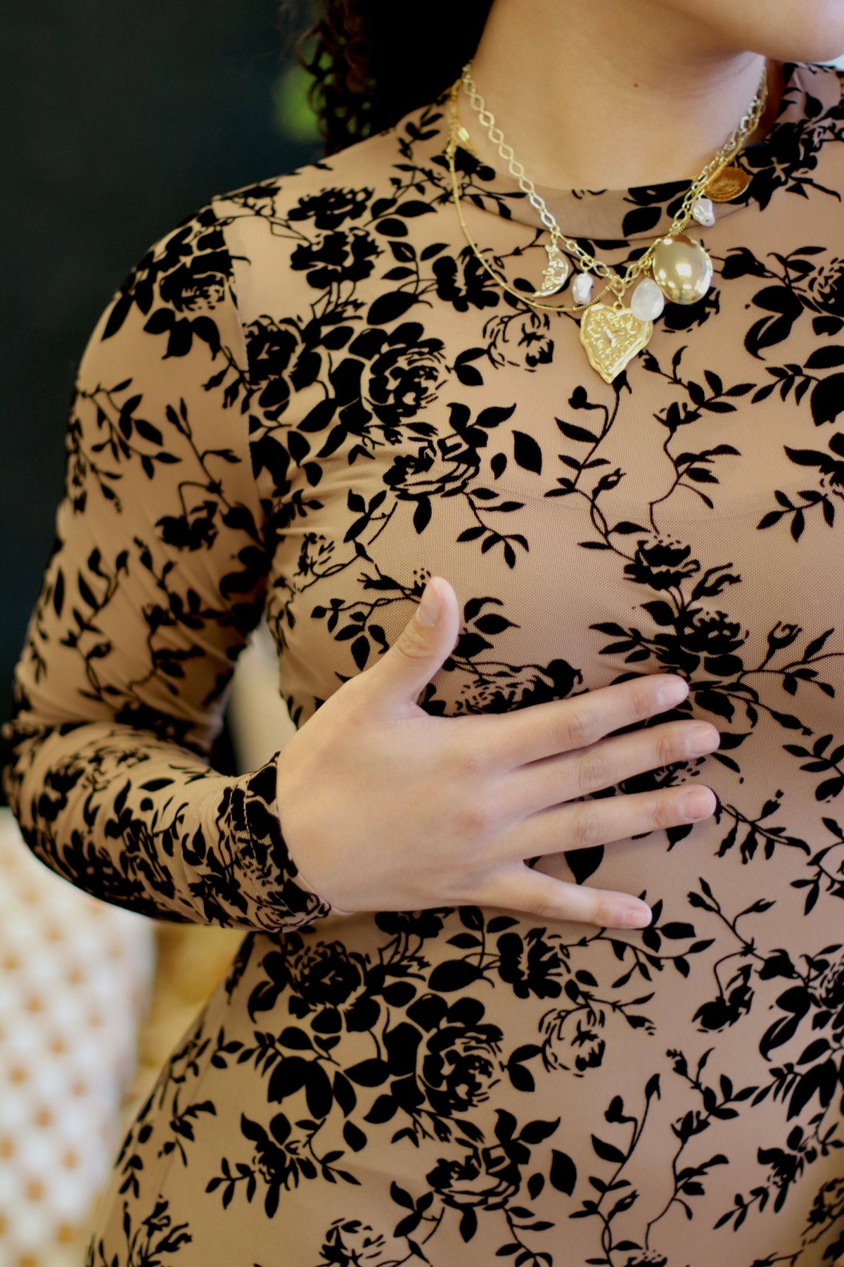 Velvet Flocking Long Sleeve Maxi Dress