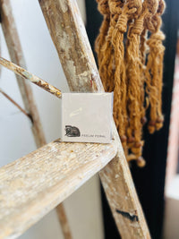 Feelin' Feral Sticky Note Pad