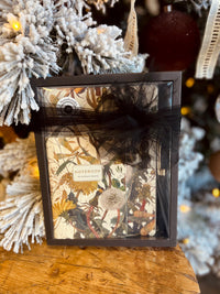 3 Piece Set -Summer Greens - 2 Notebooks + Monaco Pen