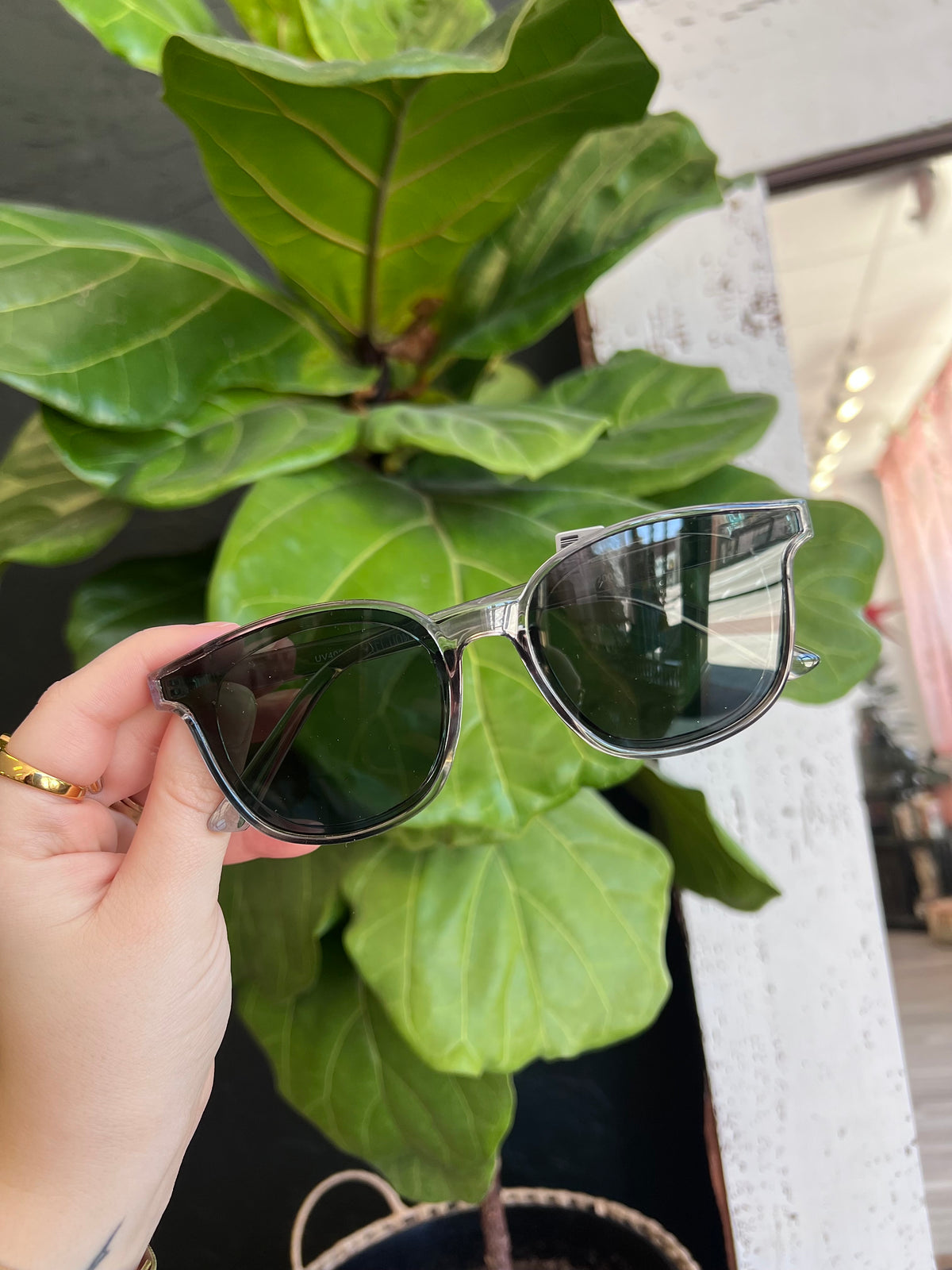 Acetate Classic Frame Sunglasses