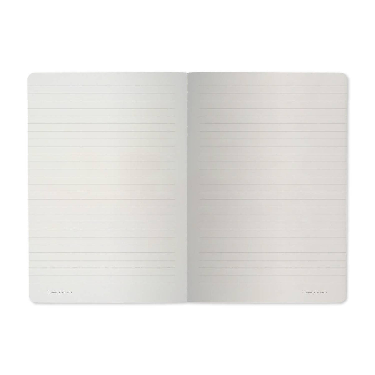A5 Soft Cover Entomology Beetles Notebook