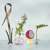 Pink Palm Mini Body Mist