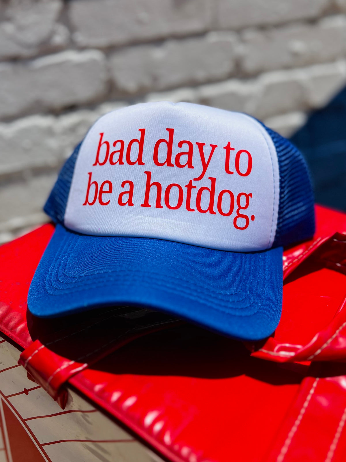 580 Trucker Hat + Blue Hot Dog