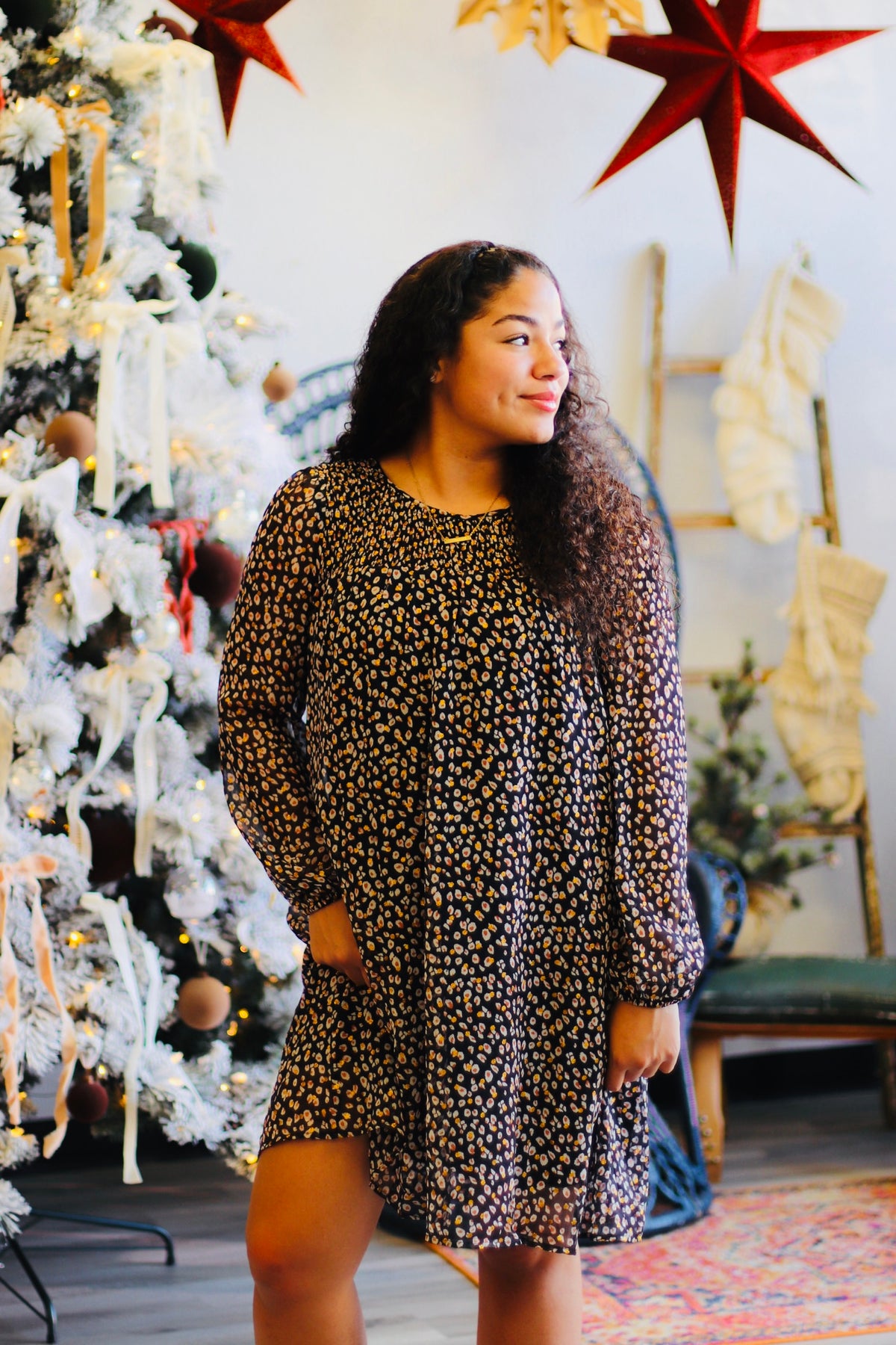 Leopard Long Sleeve Mini Dress