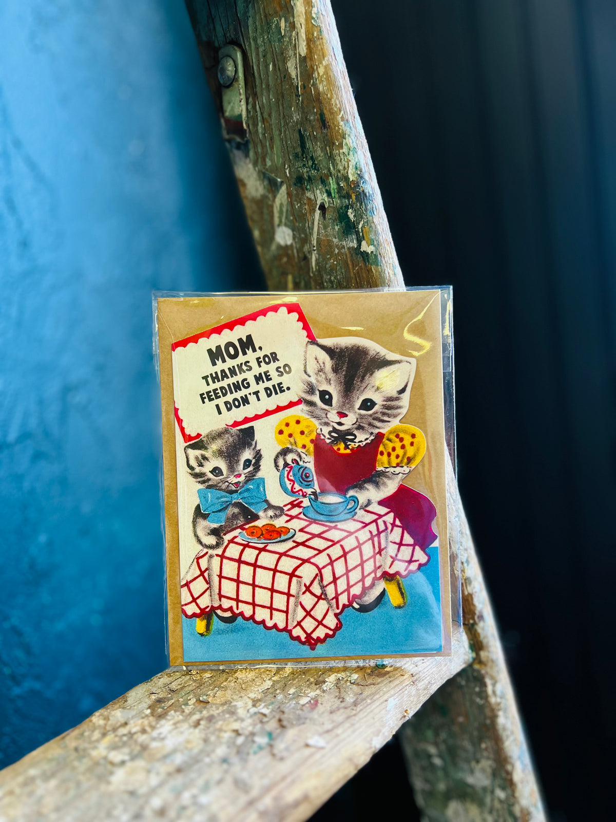 Funny Mother’s Card - Thanks for Feeding Me So I Don’t Die