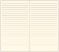 Light Blue Voyager Notebook
