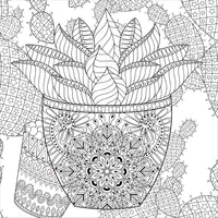 Succulents Artist's Coloring Book